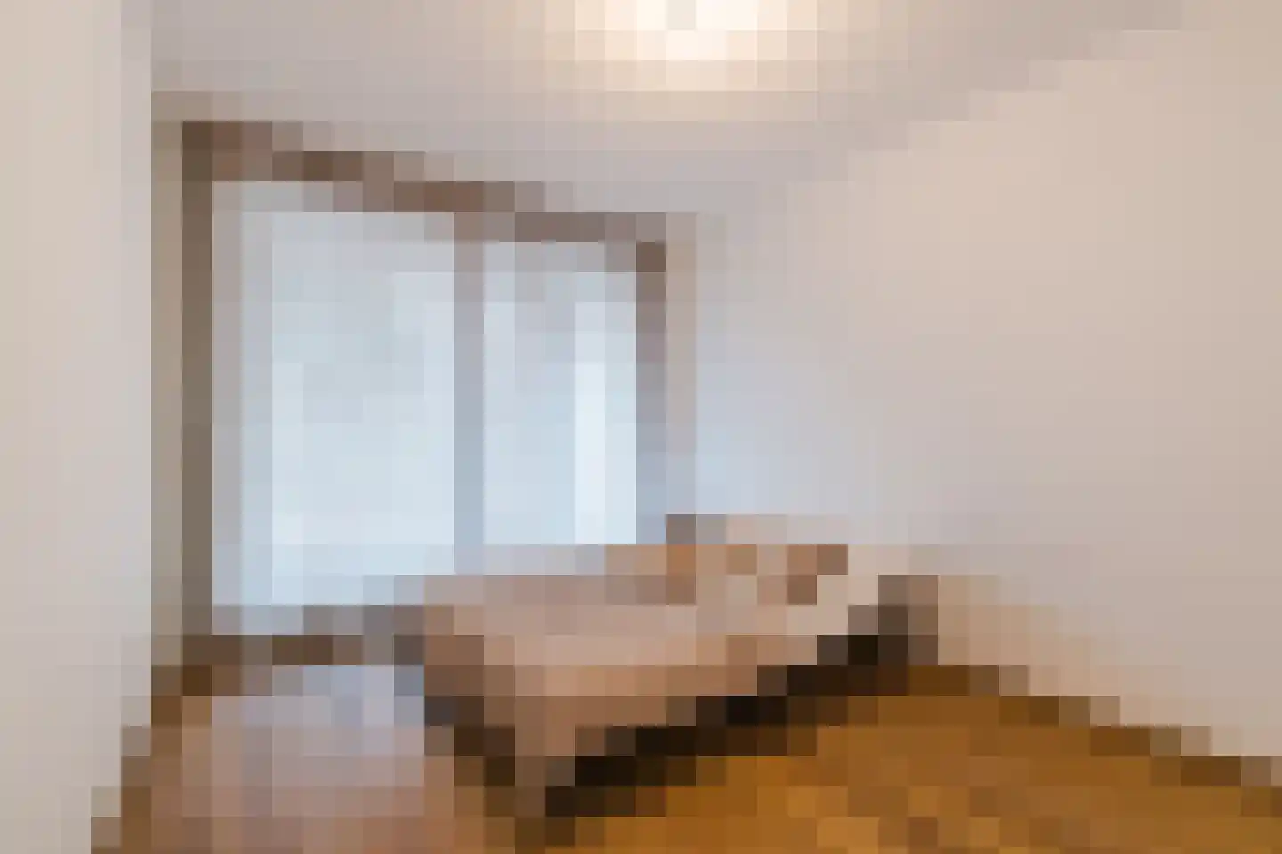 Nieuwendijk 1 F Geldrop thumbnail 14