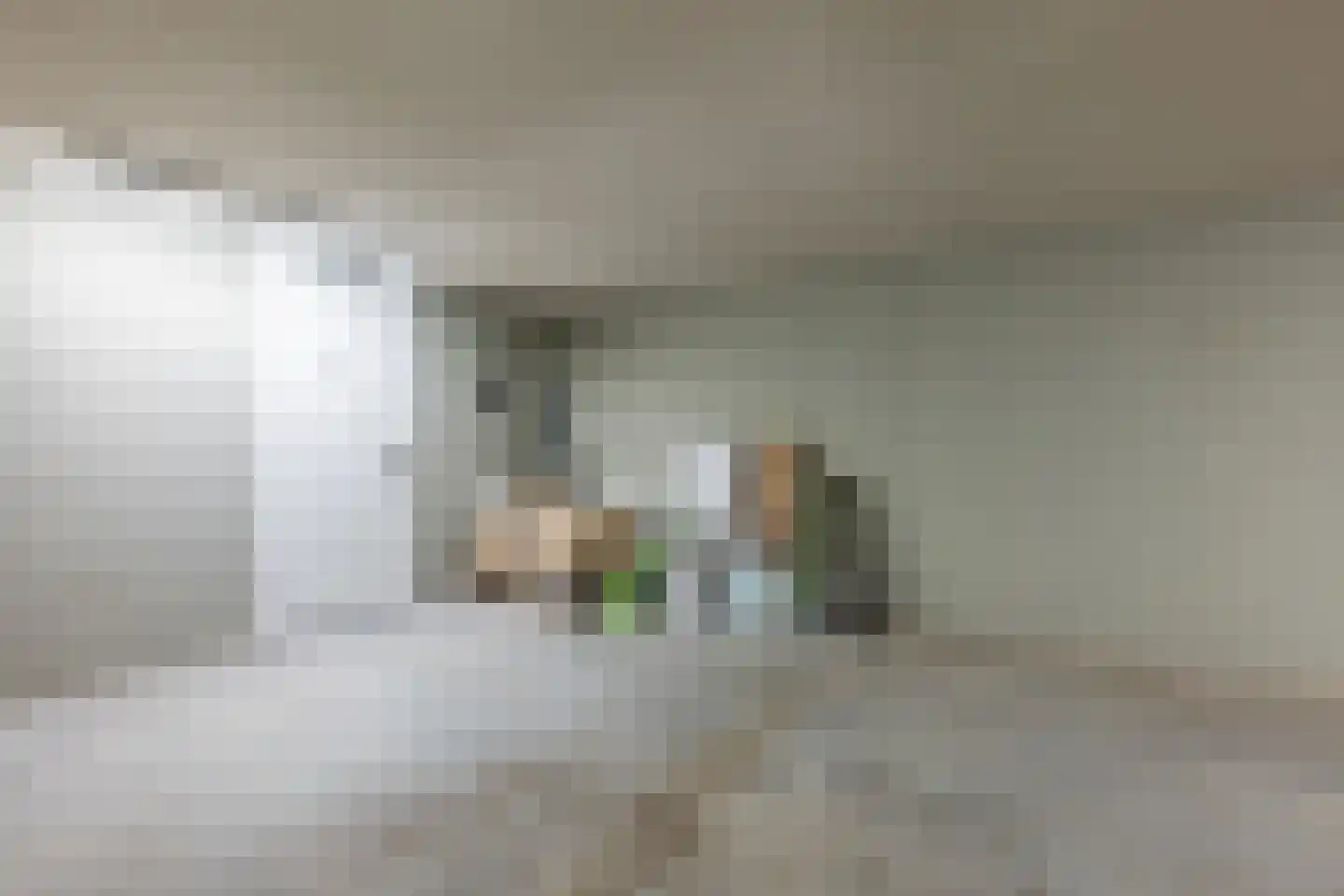 Nieuwendijk 1 F Geldrop thumbnail 24