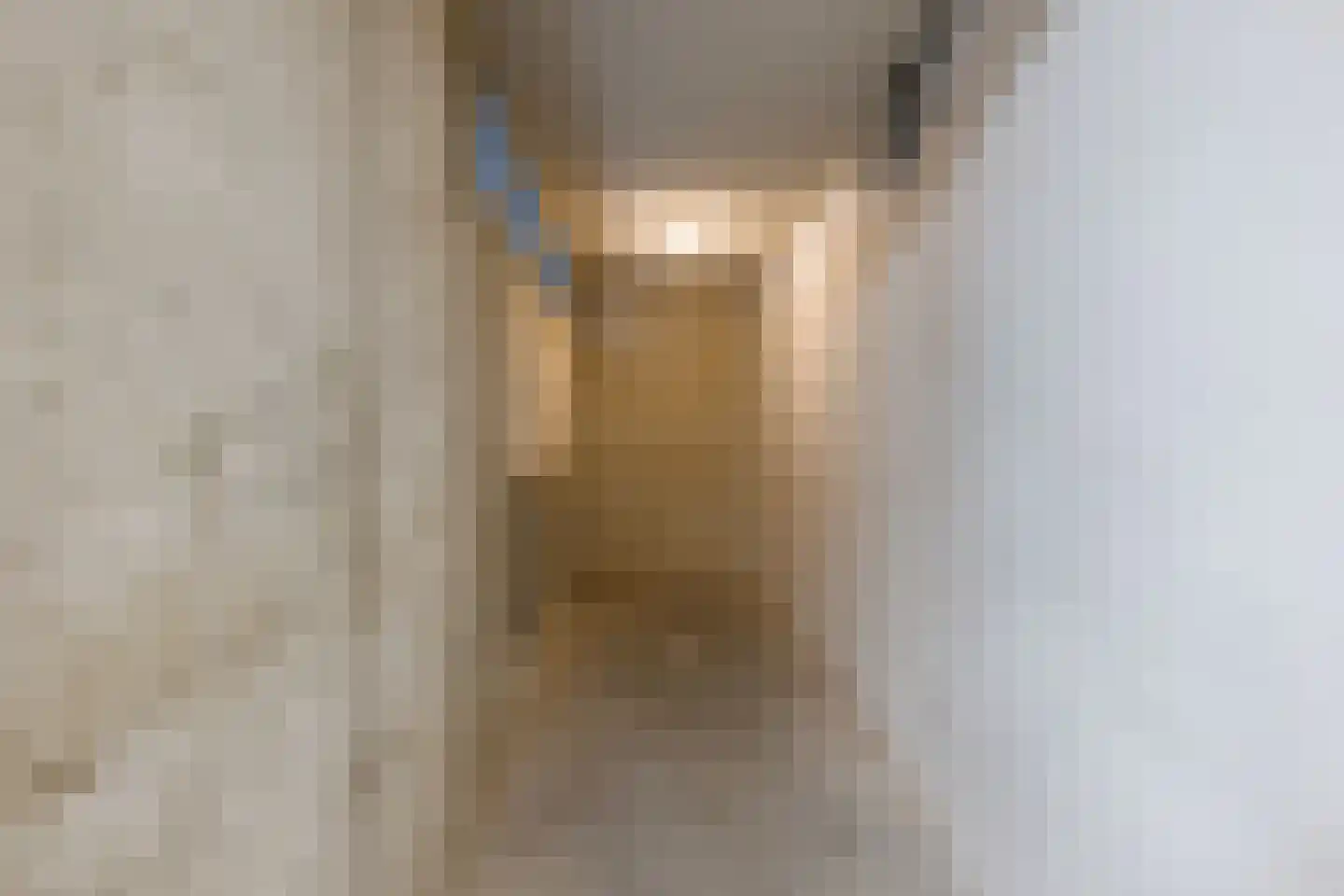 Nieuwendijk 1 F Geldrop thumbnail 25