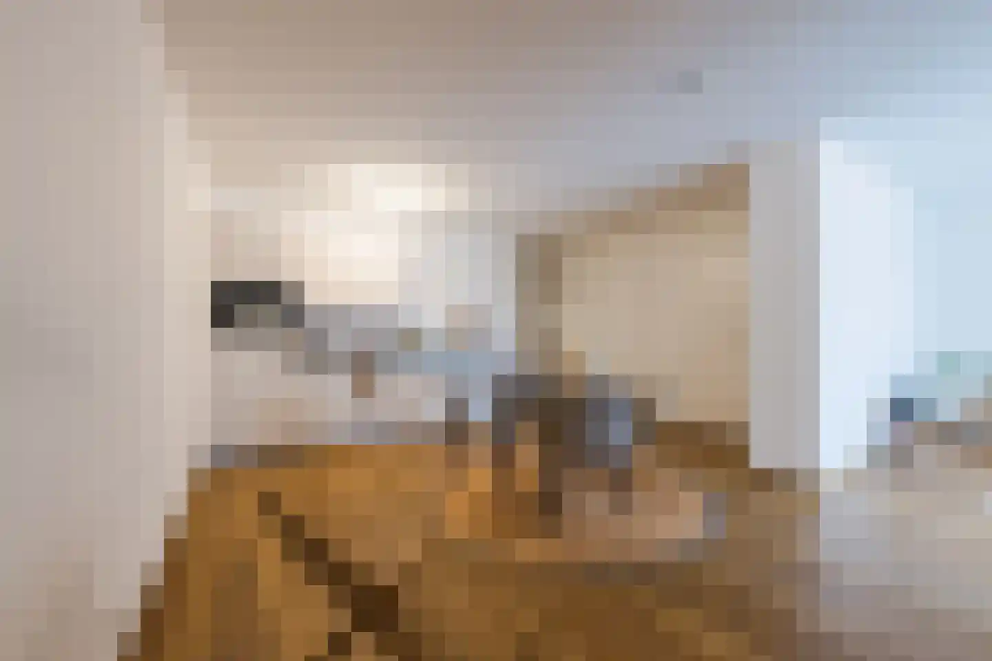 Nieuwendijk 1 F Geldrop thumbnail 9