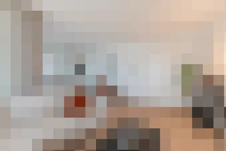 Nieuwendijk 1 Geldrop thumbnail 13