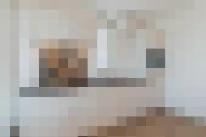 Nieuwendijk 1 Geldrop thumbnail 15