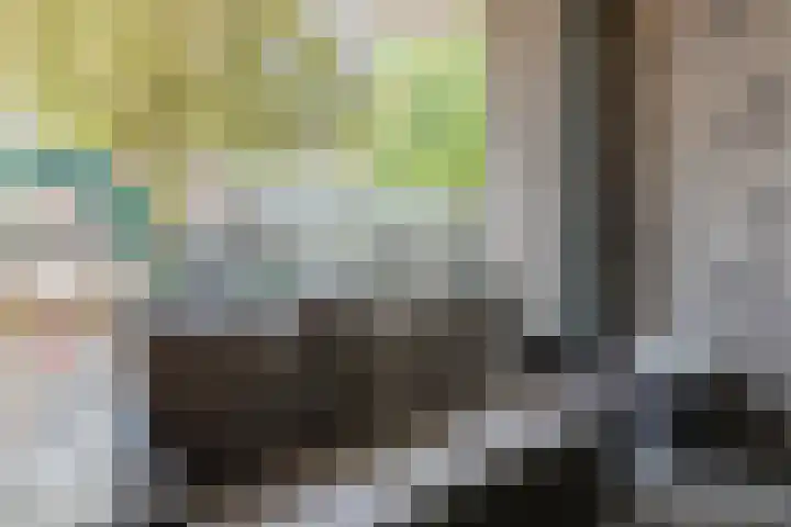 Nieuwendijk 1 Geldrop thumbnail 21