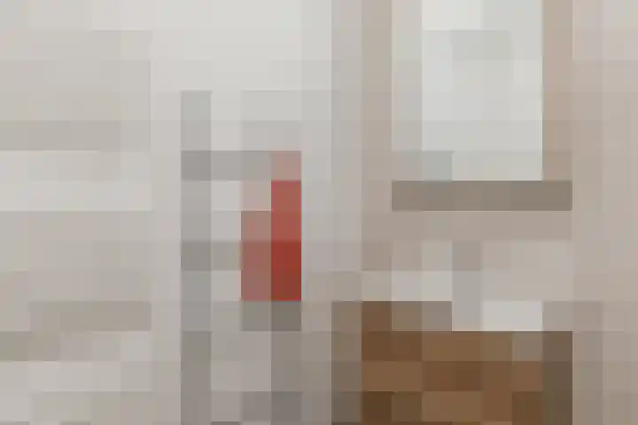 Nieuwendijk 1 Geldrop thumbnail 24
