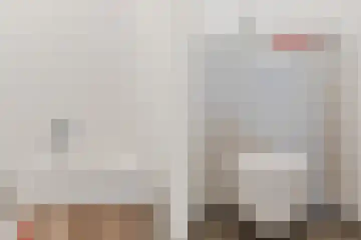 Nieuwendijk 1 Geldrop thumbnail 27