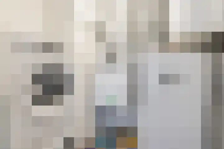 Nieuwendijk 1 Geldrop thumbnail 28