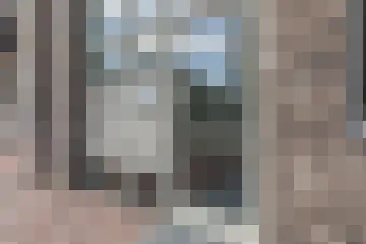 Nieuwendijk 1 Geldrop thumbnail 5