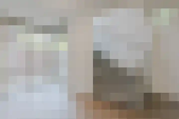 Nieuwendijk 1 Geldrop thumbnail 8