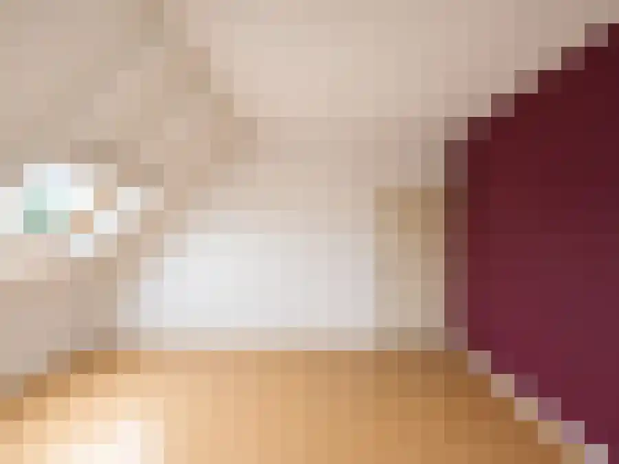 Nieuwendijk 1 Wijhe thumbnail 5