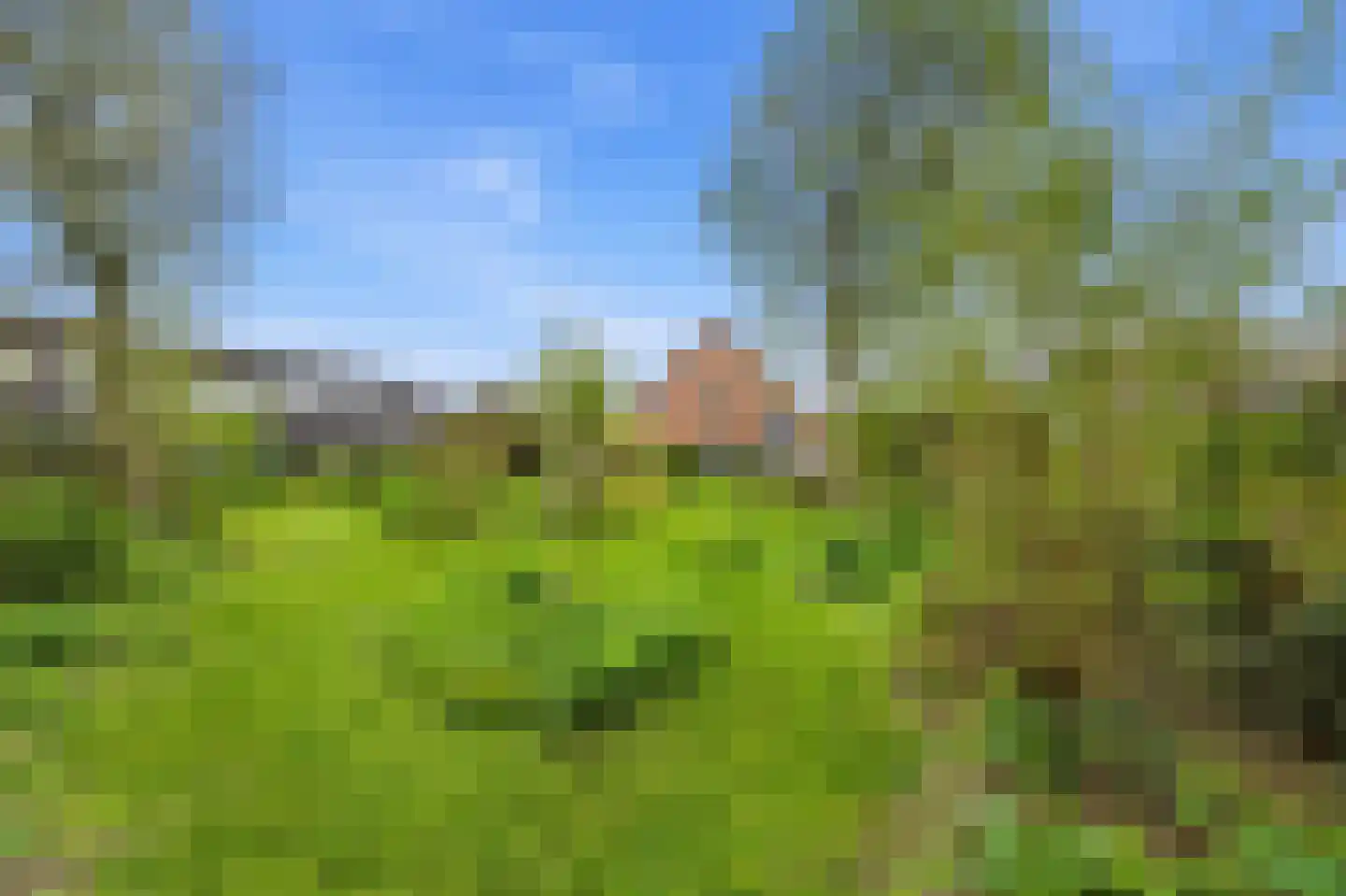 Nieuwendijk 10 Noordeloos thumbnail 103