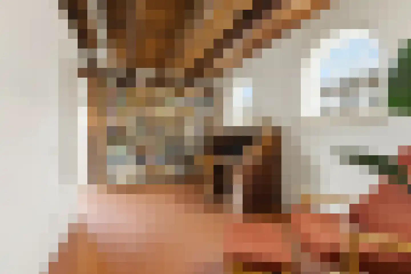 Nieuwendijk 10 Noordeloos thumbnail 13