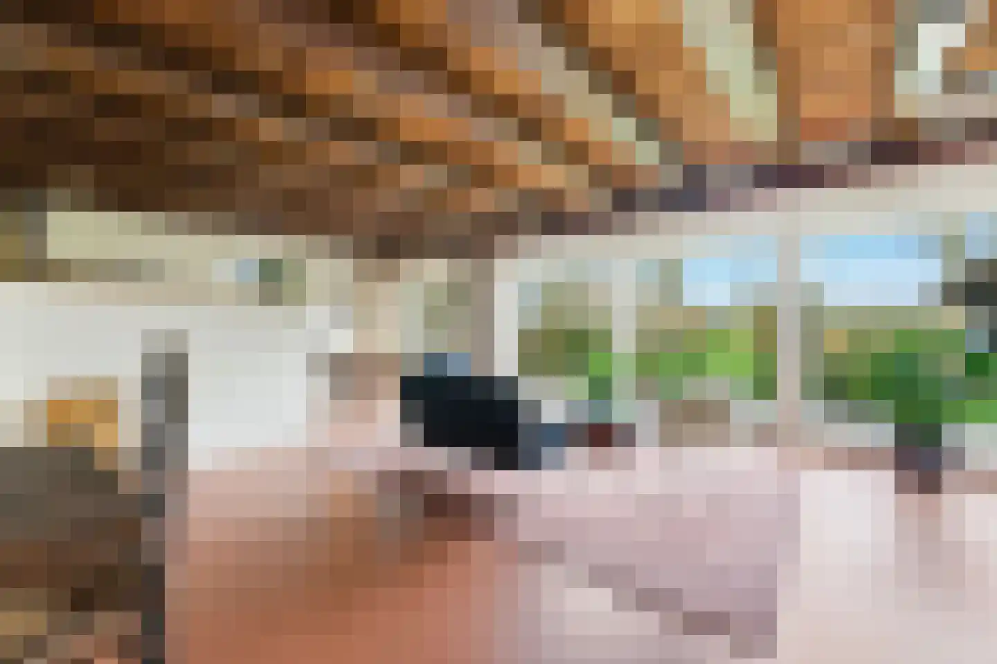 Nieuwendijk 10 Noordeloos thumbnail 15