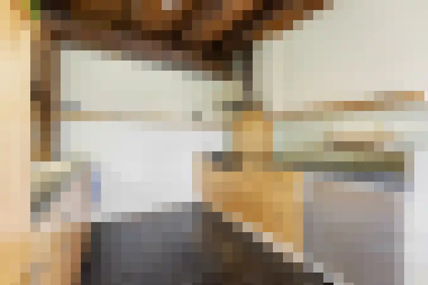Nieuwendijk 10 Noordeloos thumbnail 20