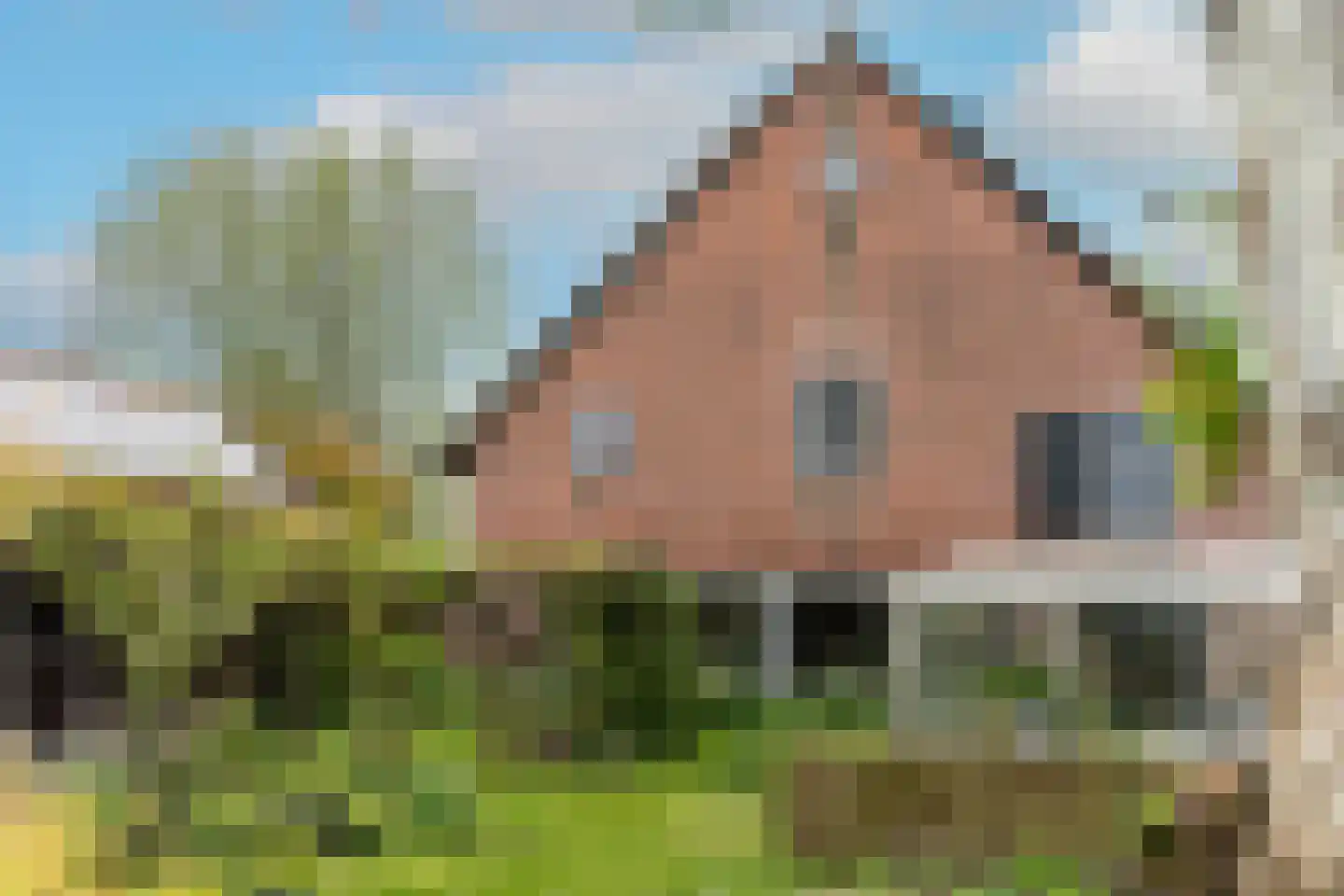 Nieuwendijk 10 Noordeloos foto 3