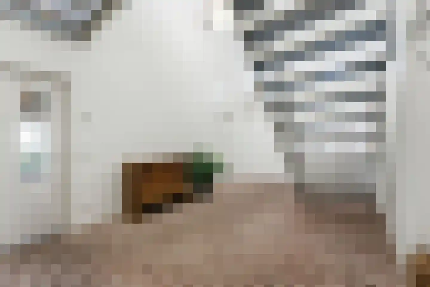 Nieuwendijk 10 Noordeloos thumbnail 30