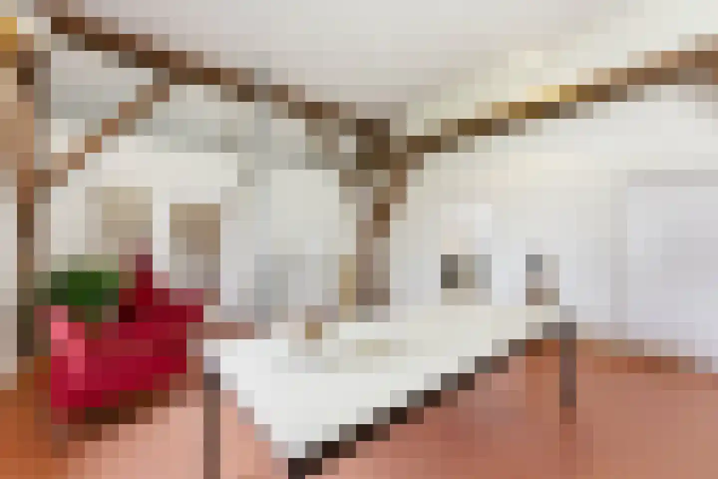Nieuwendijk 10 Noordeloos thumbnail 36