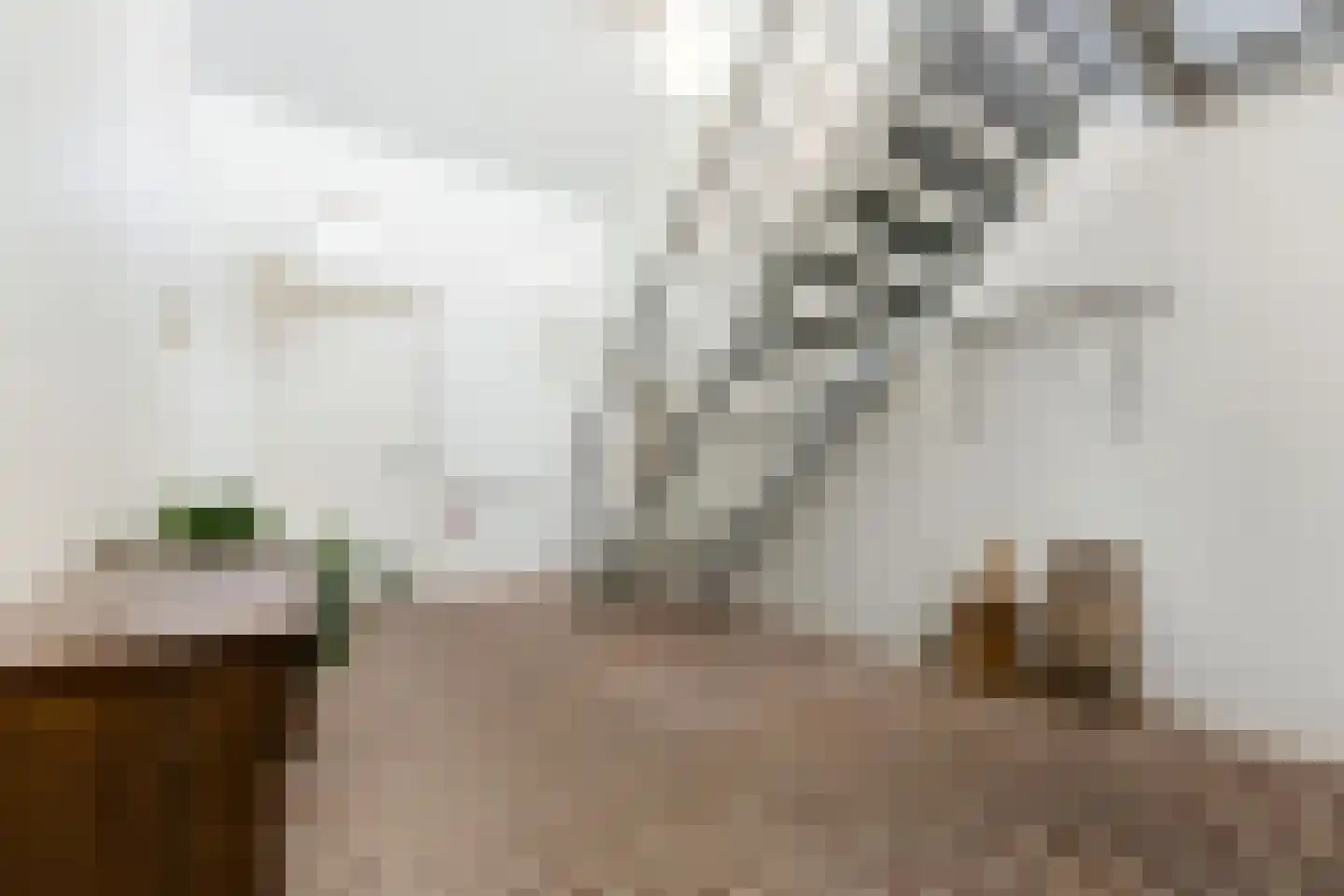 Nieuwendijk 10 Noordeloos thumbnail 4