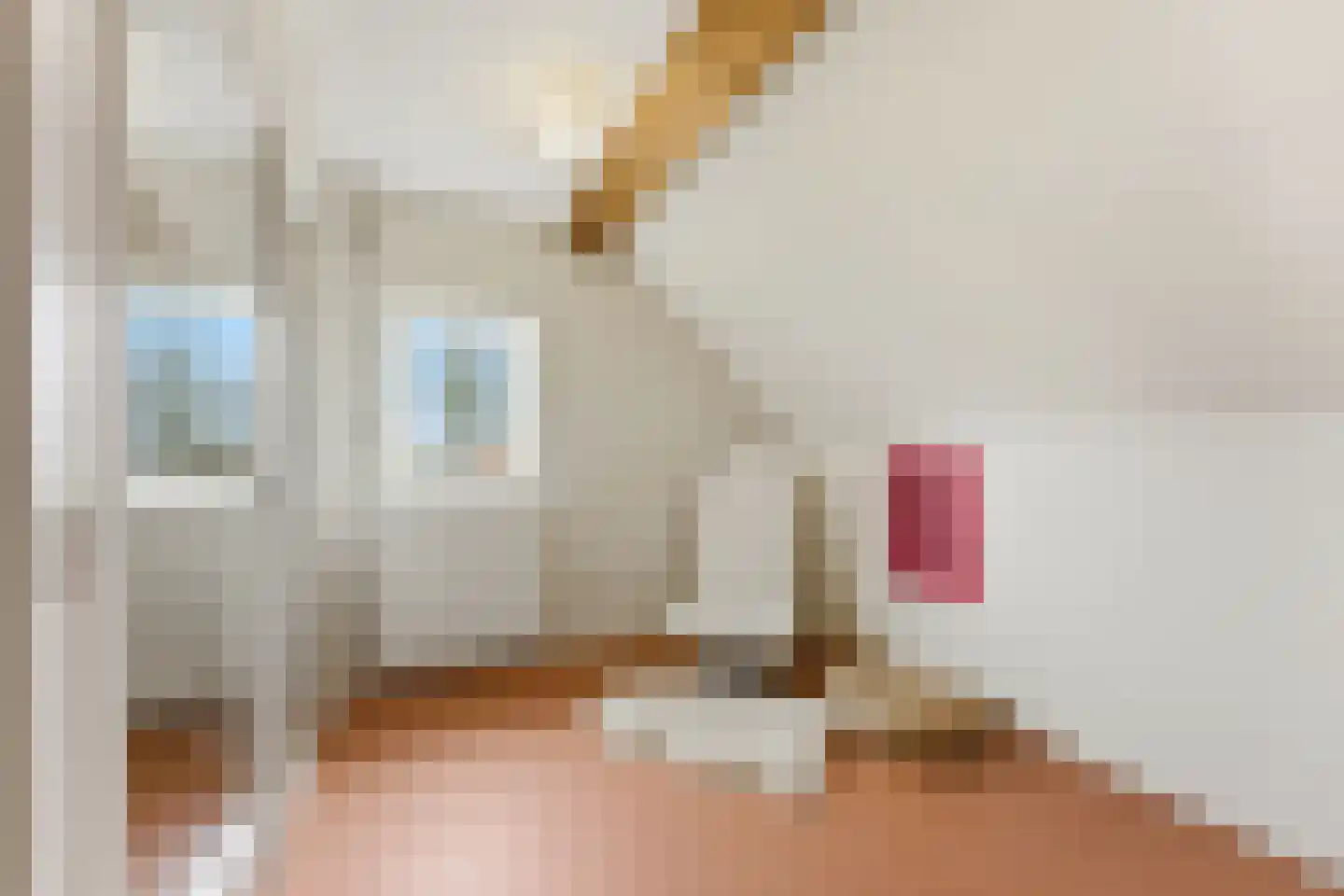 Nieuwendijk 10 Noordeloos thumbnail 43