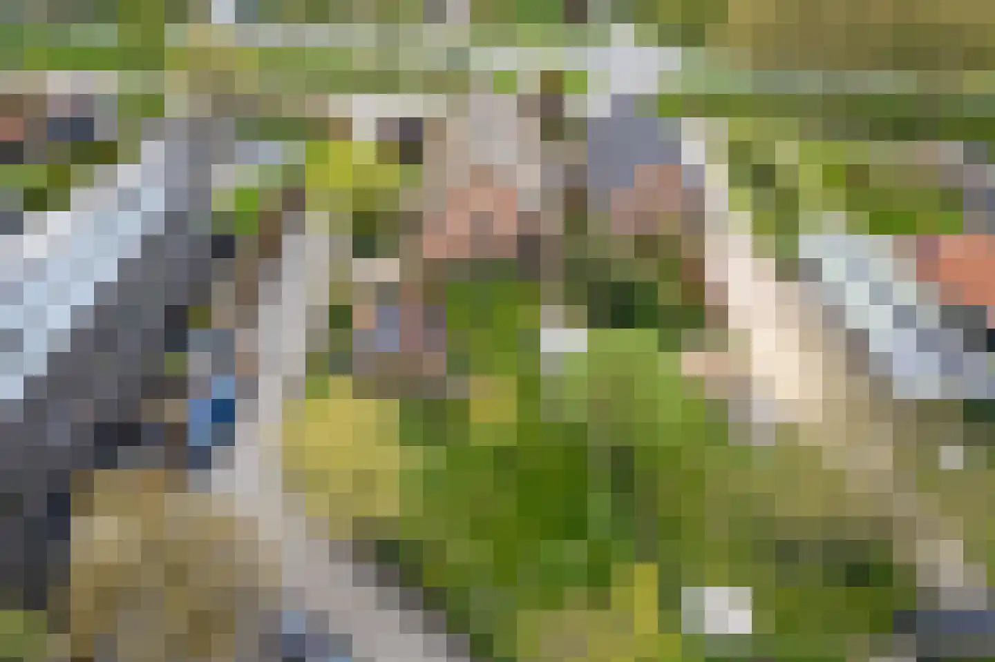 Nieuwendijk 10 Noordeloos thumbnail 68