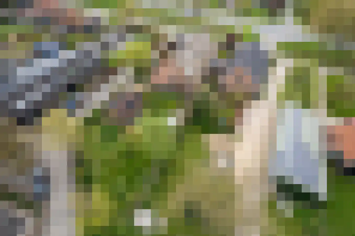 Nieuwendijk 10 Noordeloos thumbnail 69