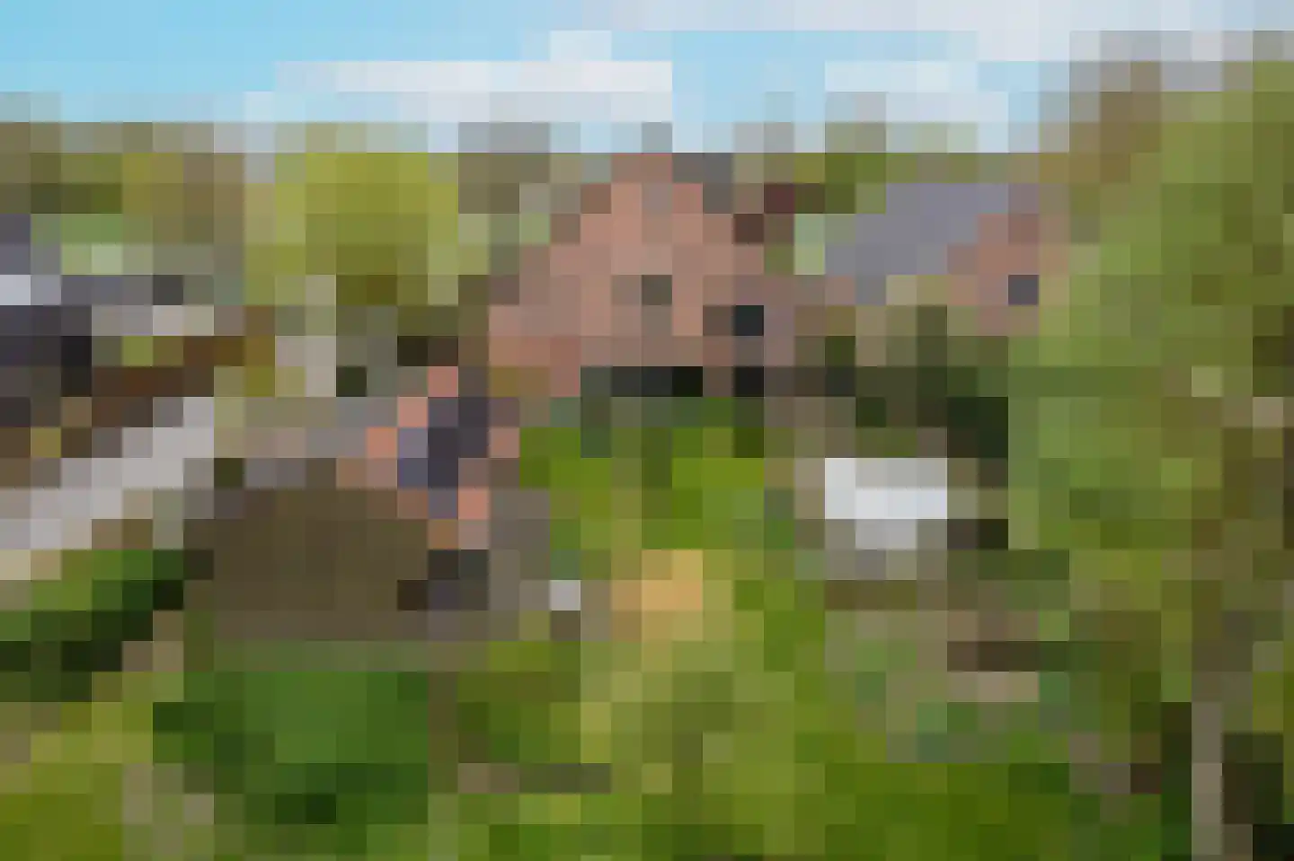 Nieuwendijk 10 Noordeloos thumbnail 71