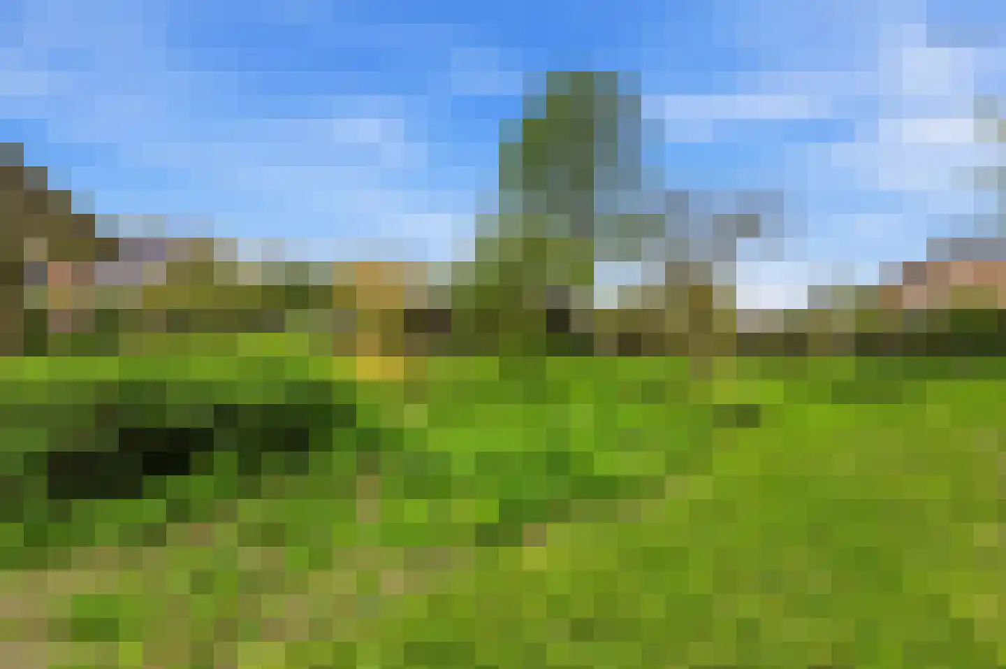 Nieuwendijk 10 Noordeloos thumbnail 75