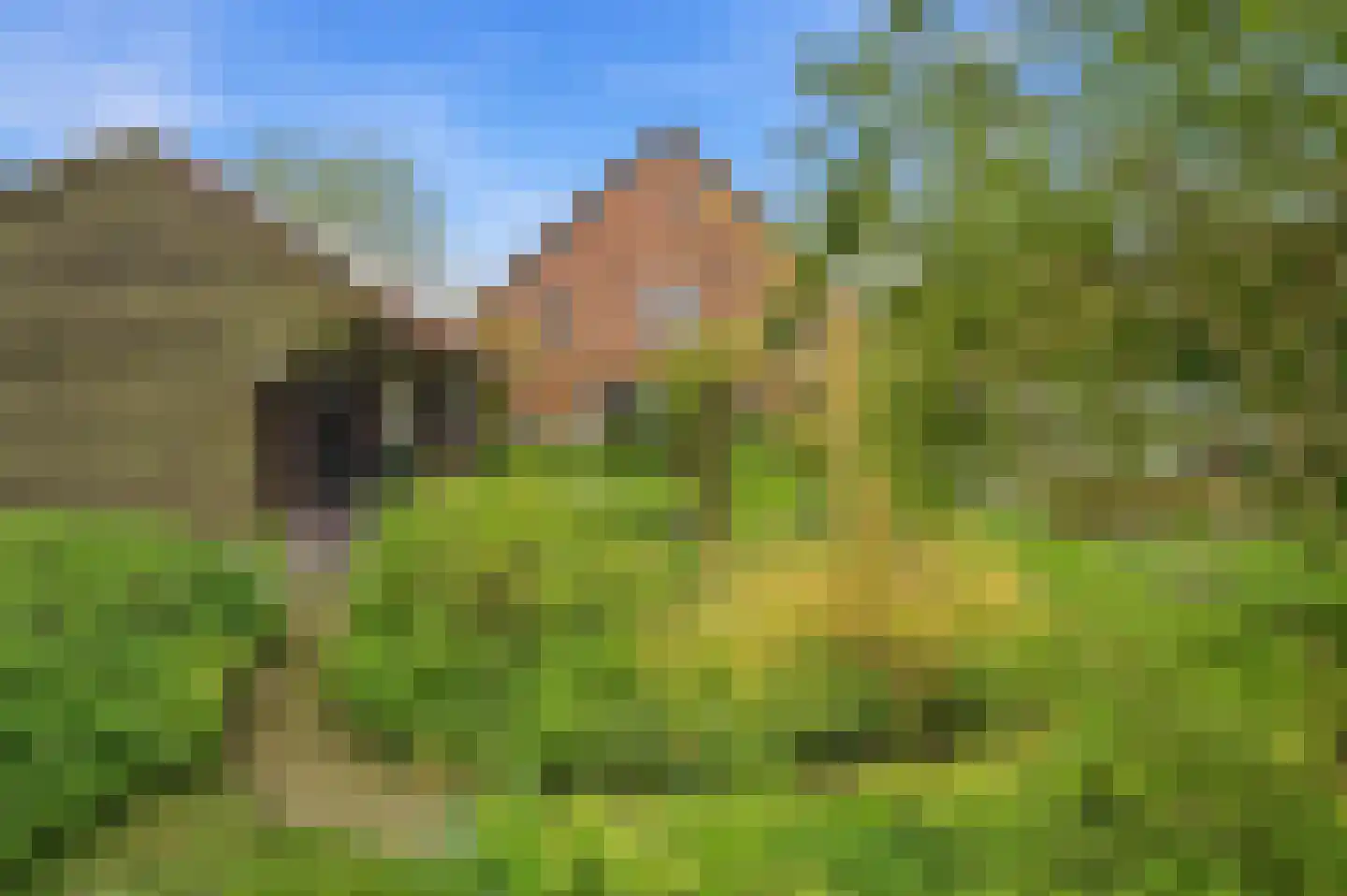 Nieuwendijk 10 Noordeloos thumbnail 78