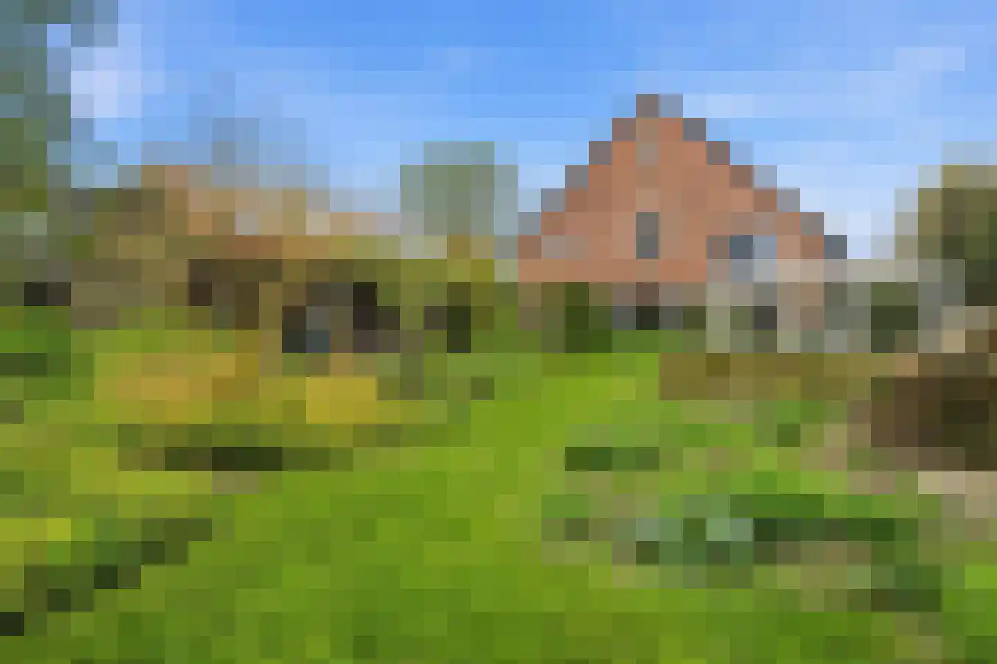 Nieuwendijk 10 Noordeloos thumbnail 80
