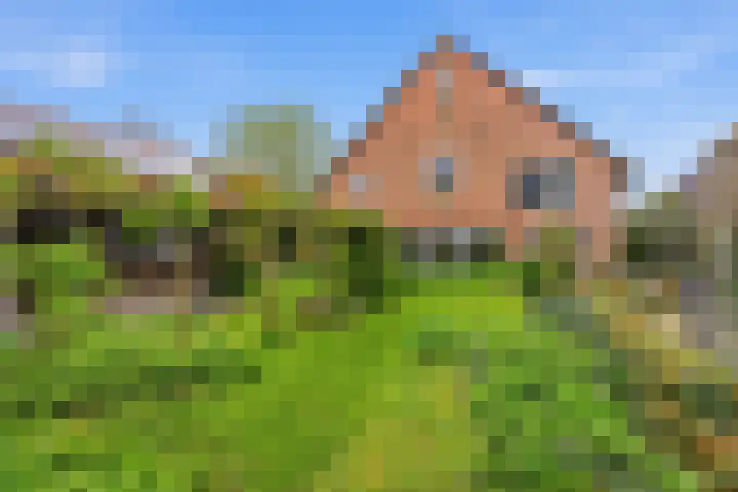 Nieuwendijk 10 Noordeloos thumbnail 82