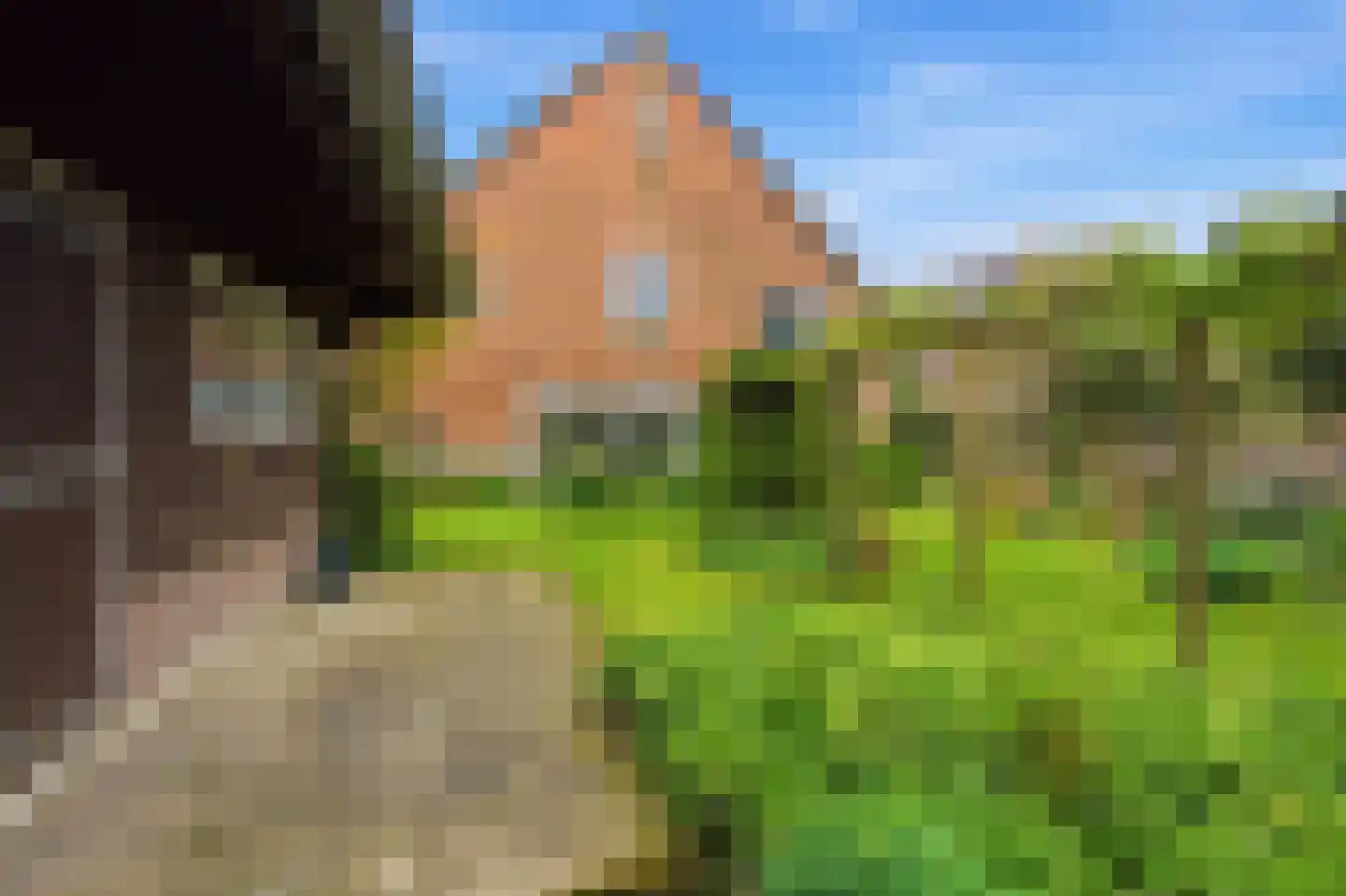 Nieuwendijk 10 Noordeloos thumbnail 90