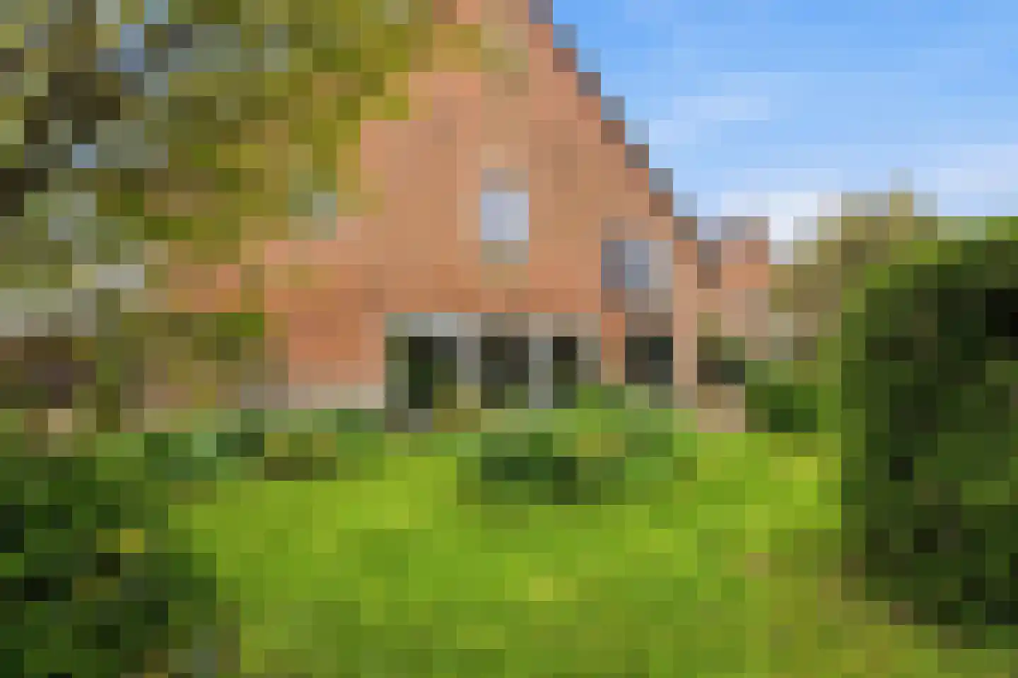 Nieuwendijk 10 Noordeloos thumbnail 91