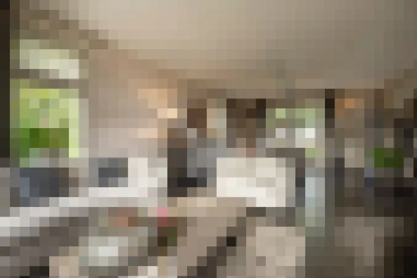 Nieuwendijk 10 Zuid-Beijerland thumbnail 10