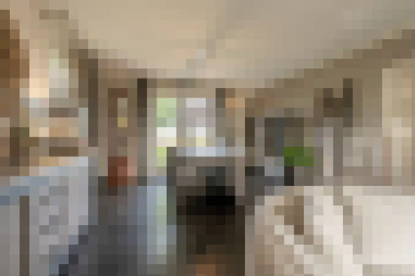 Nieuwendijk 10 Zuid-Beijerland thumbnail 12