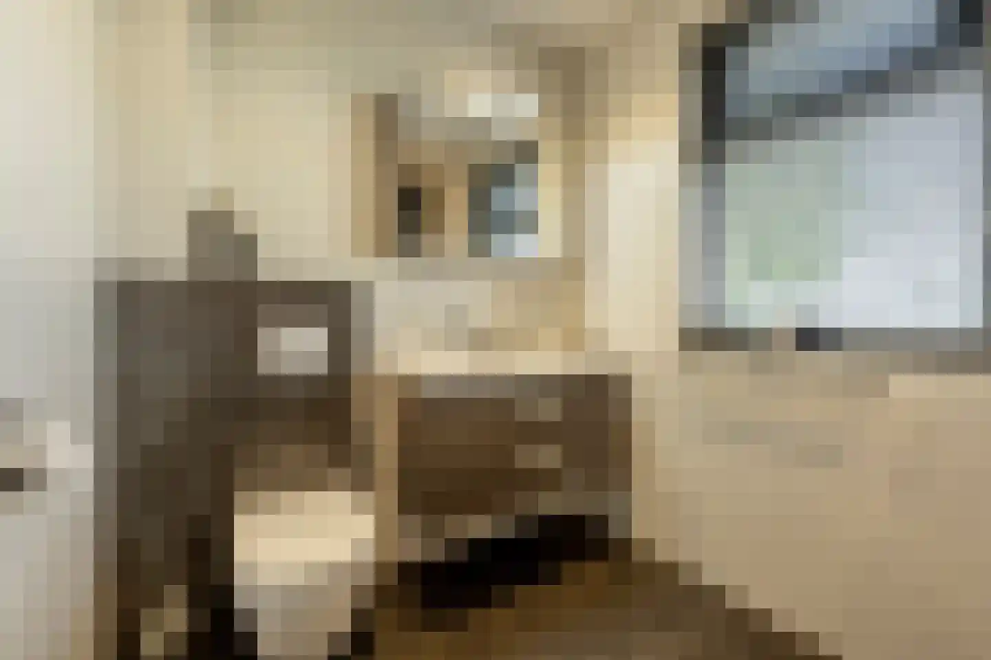 Nieuwendijk 10 Zuid-Beijerland thumbnail 18