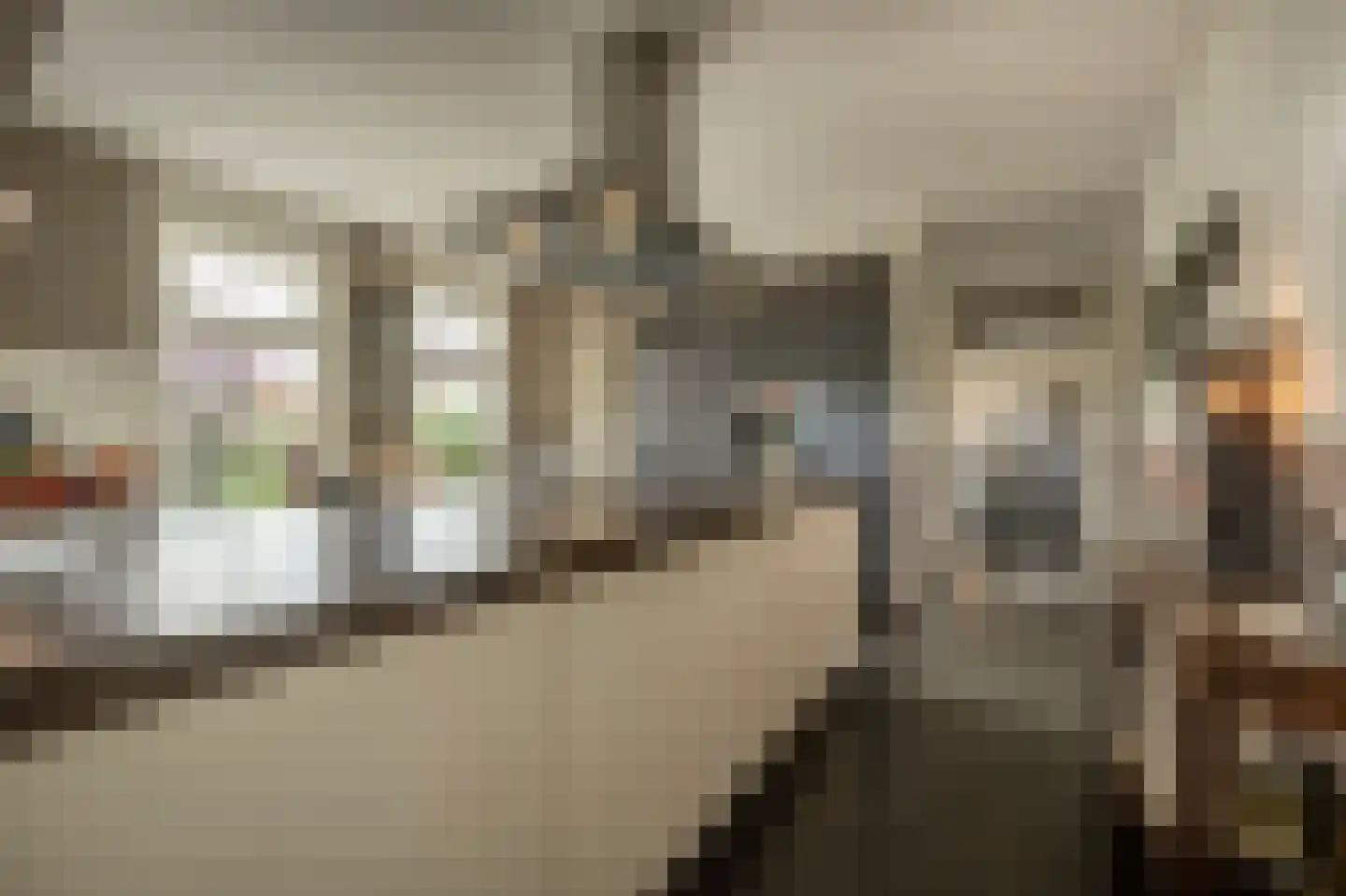 Nieuwendijk 10 Zuid-Beijerland thumbnail 20