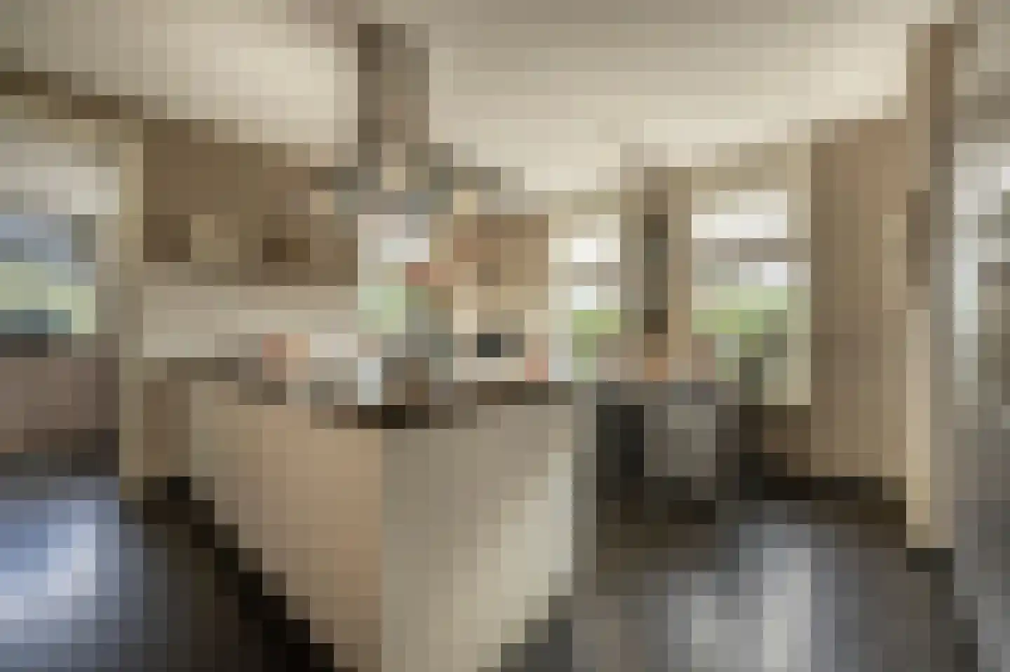 Nieuwendijk 10 Zuid-Beijerland thumbnail 21