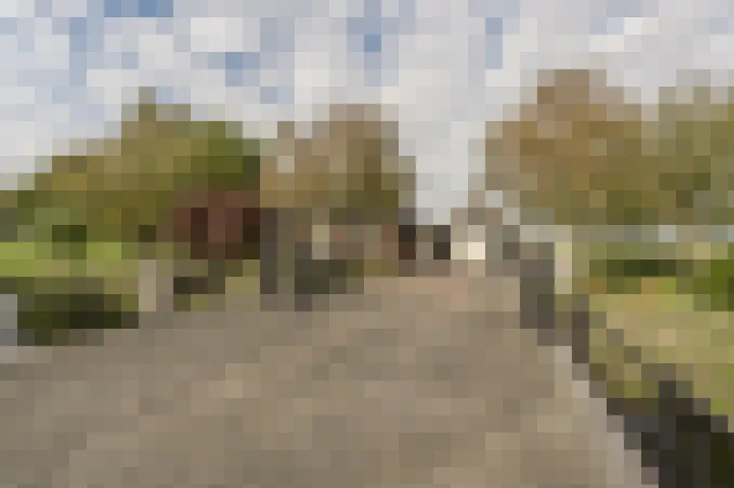 Nieuwendijk 10 Zuid-Beijerland thumbnail 4