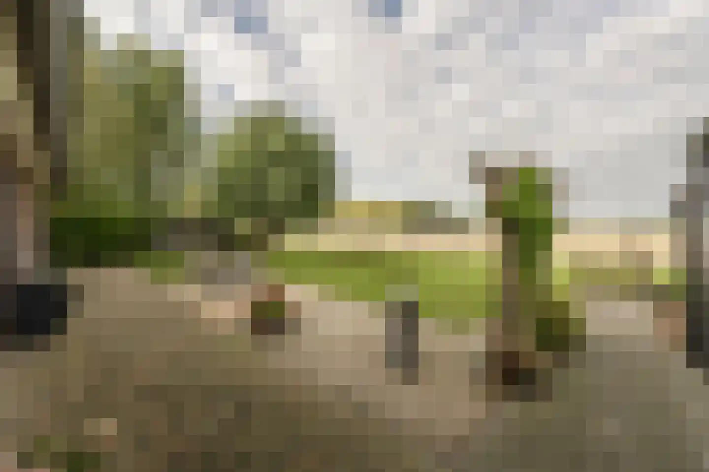 Nieuwendijk 10 Zuid-Beijerland thumbnail 40