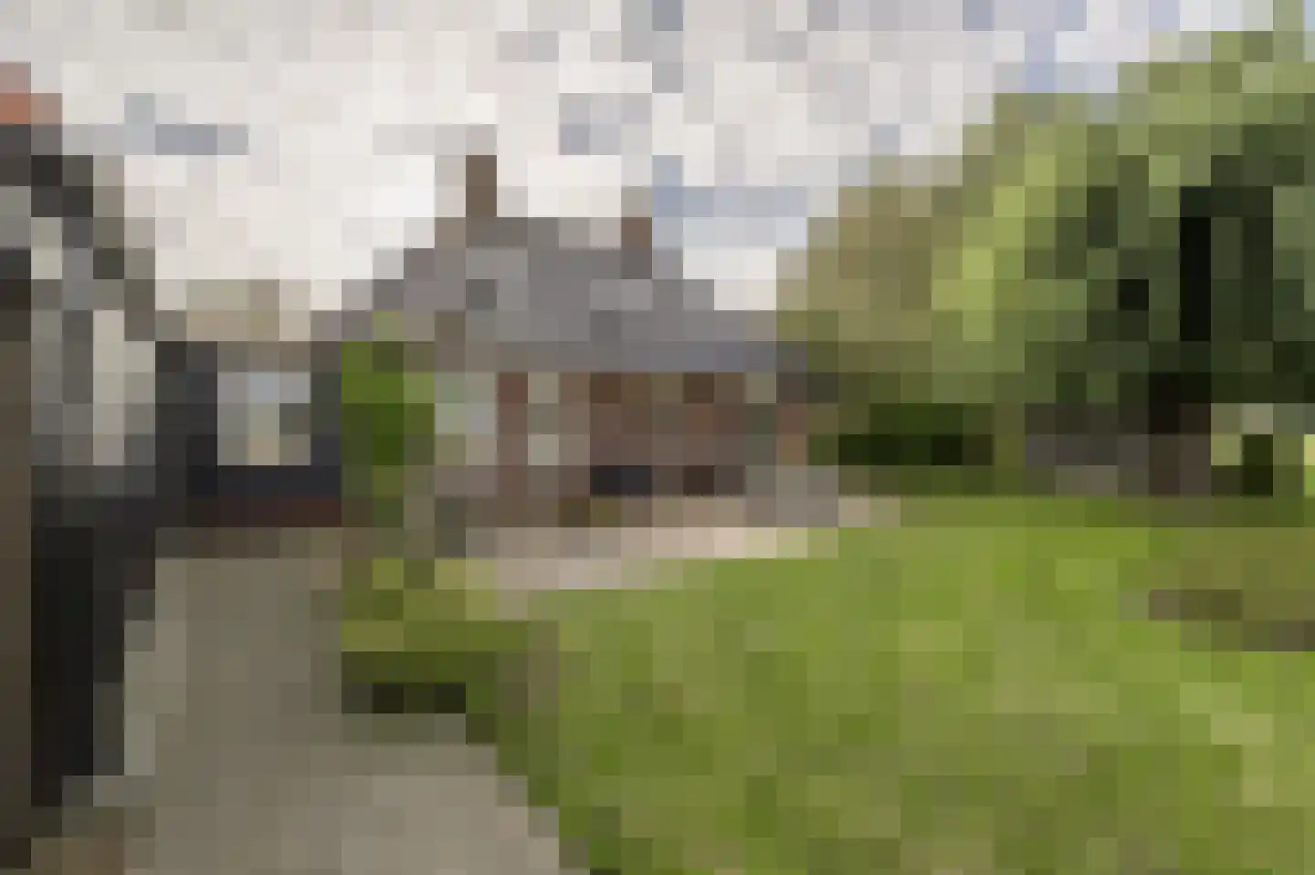 Nieuwendijk 10 Zuid-Beijerland thumbnail 41