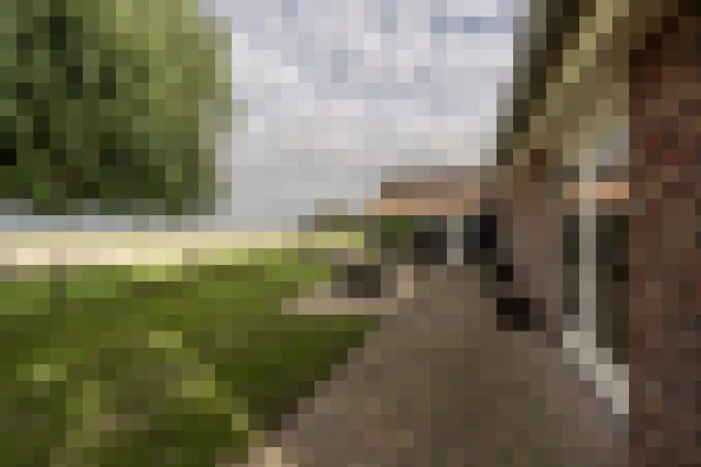 Nieuwendijk 10 Zuid-Beijerland thumbnail 42