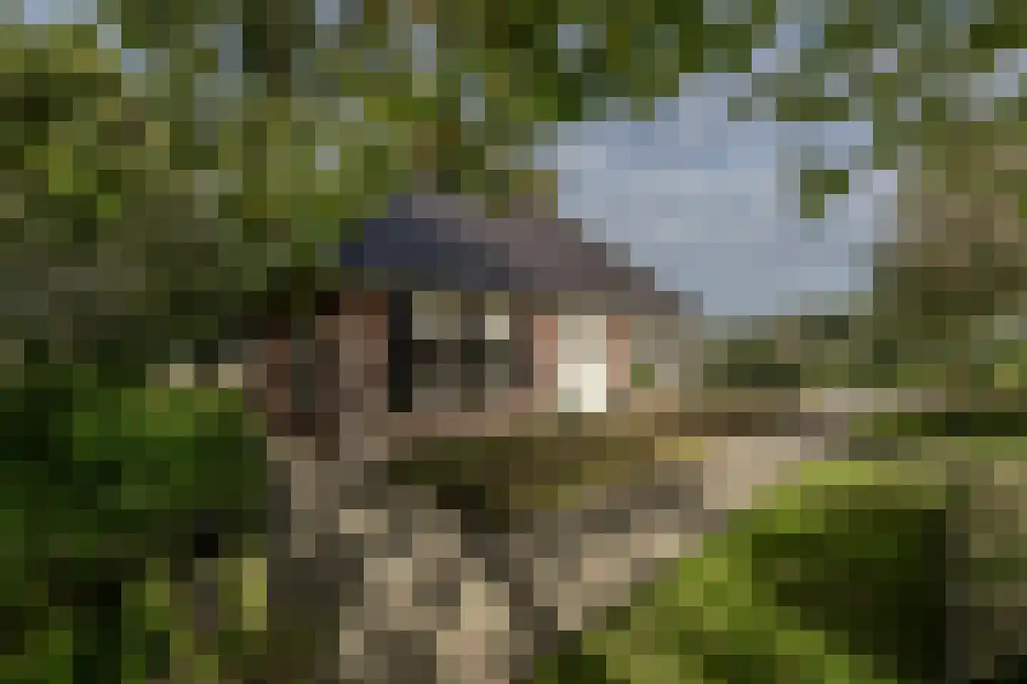 Nieuwendijk 10 Zuid-Beijerland thumbnail 44