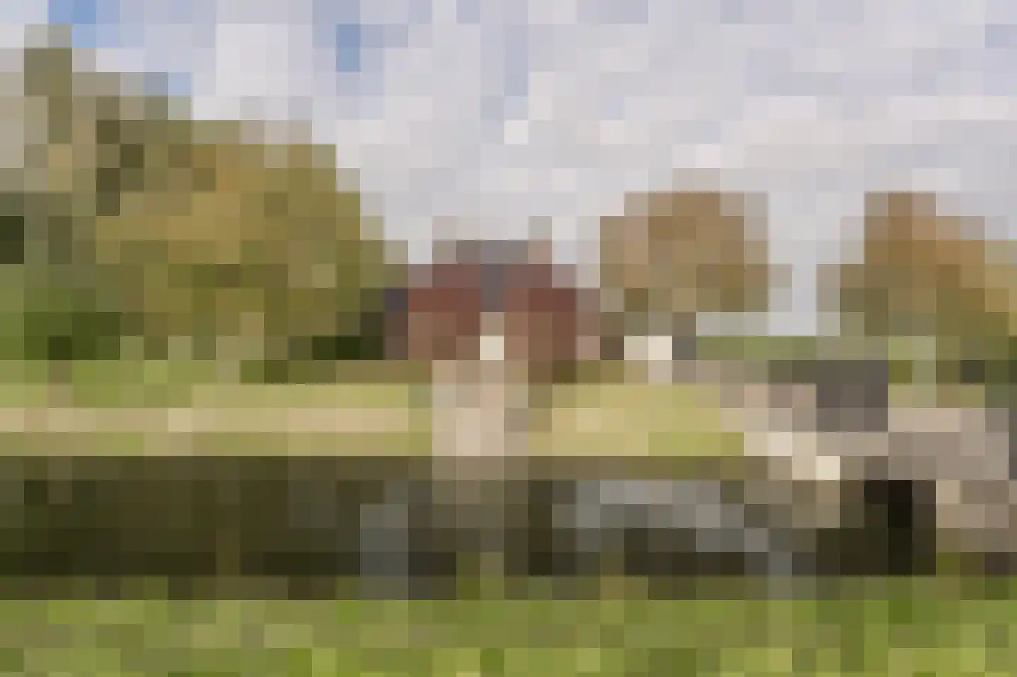 Nieuwendijk 10 Zuid-Beijerland thumbnail 46