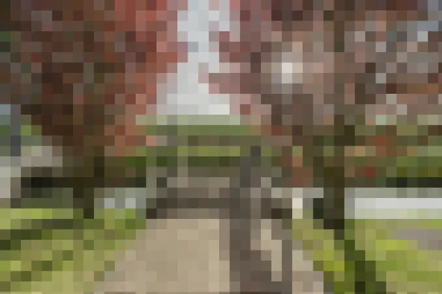 Nieuwendijk 10 Zuid-Beijerland thumbnail 5