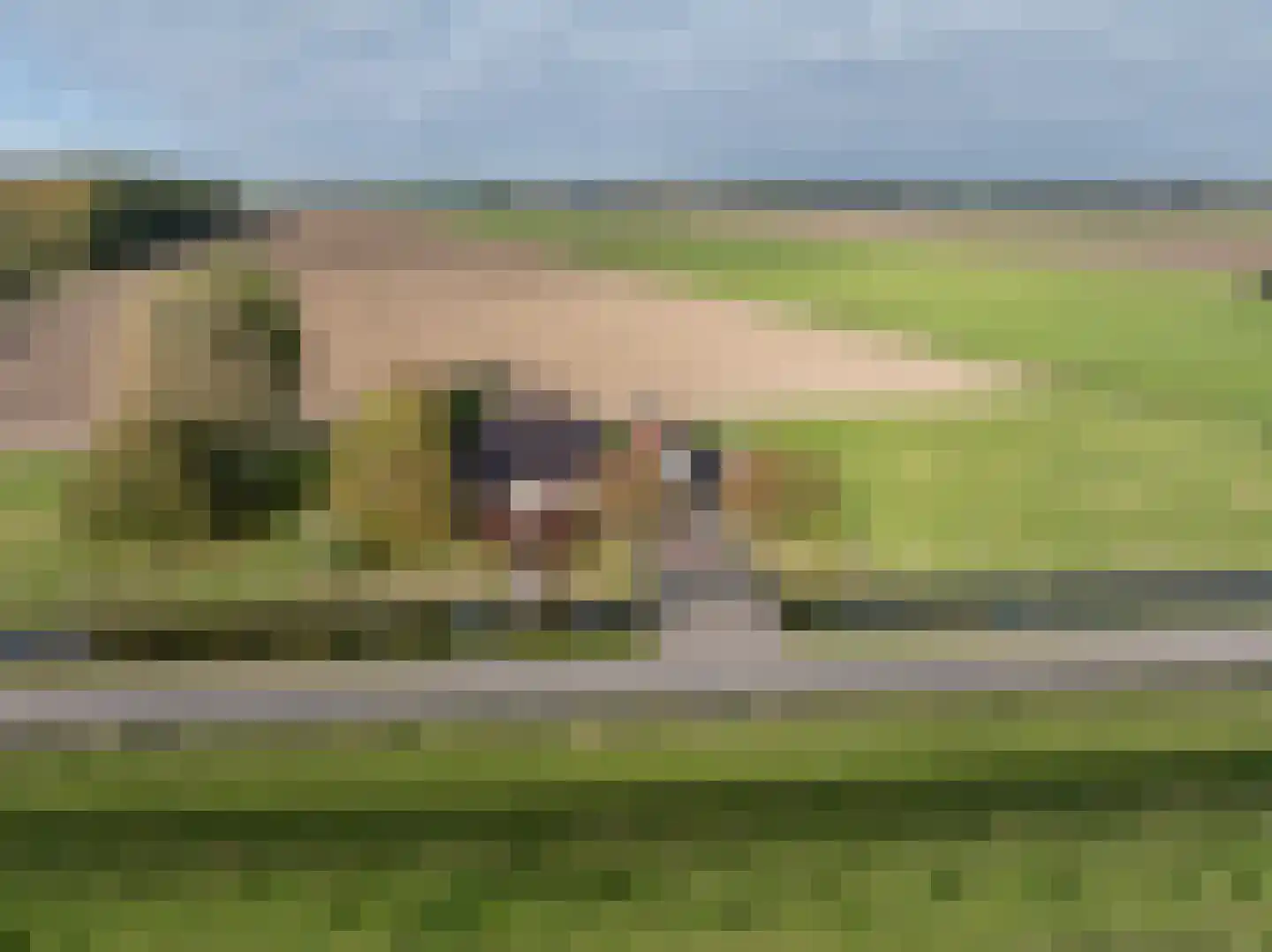 Nieuwendijk 10 Zuid-Beijerland thumbnail 50