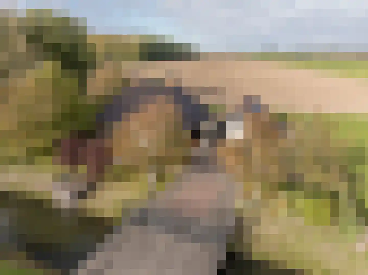 Nieuwendijk 10 Zuid-Beijerland thumbnail 51