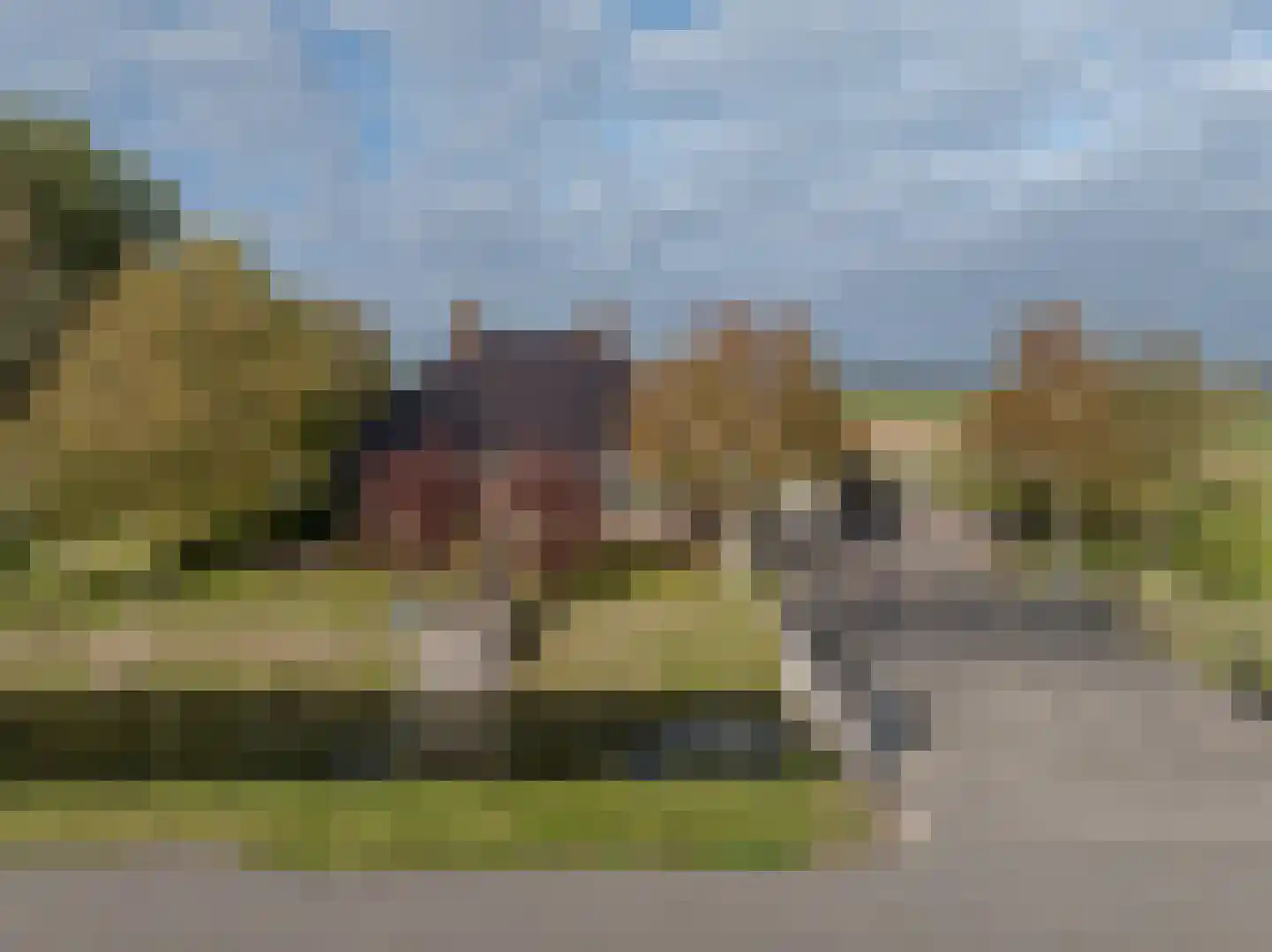 Nieuwendijk 10 Zuid-Beijerland thumbnail 52