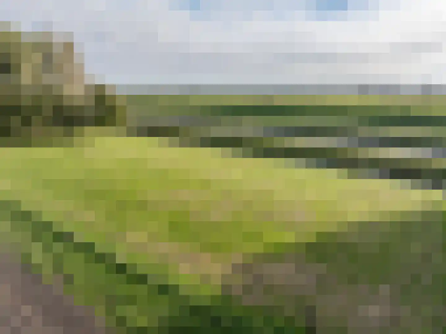 Nieuwendijk 10 Zuid-Beijerland thumbnail 53