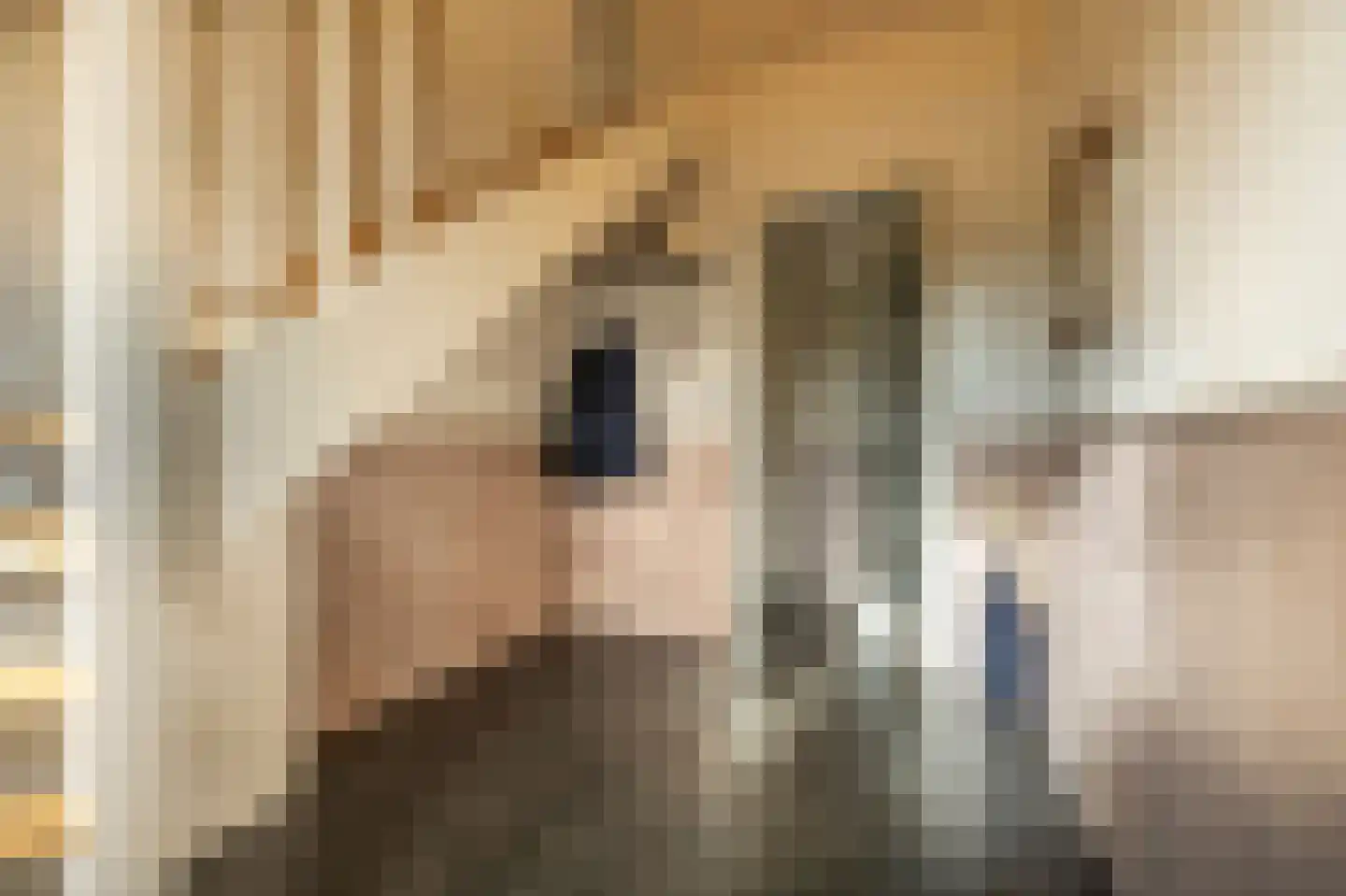 Nieuwendijk 10 Zuid-Beijerland thumbnail 8