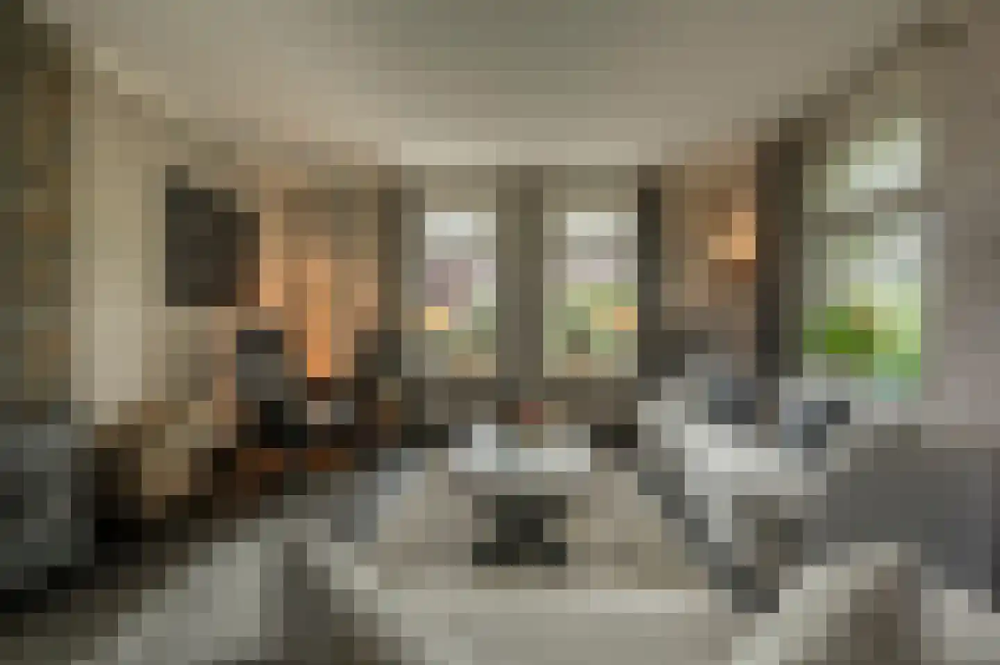 Nieuwendijk 10 Zuid-Beijerland thumbnail 9
