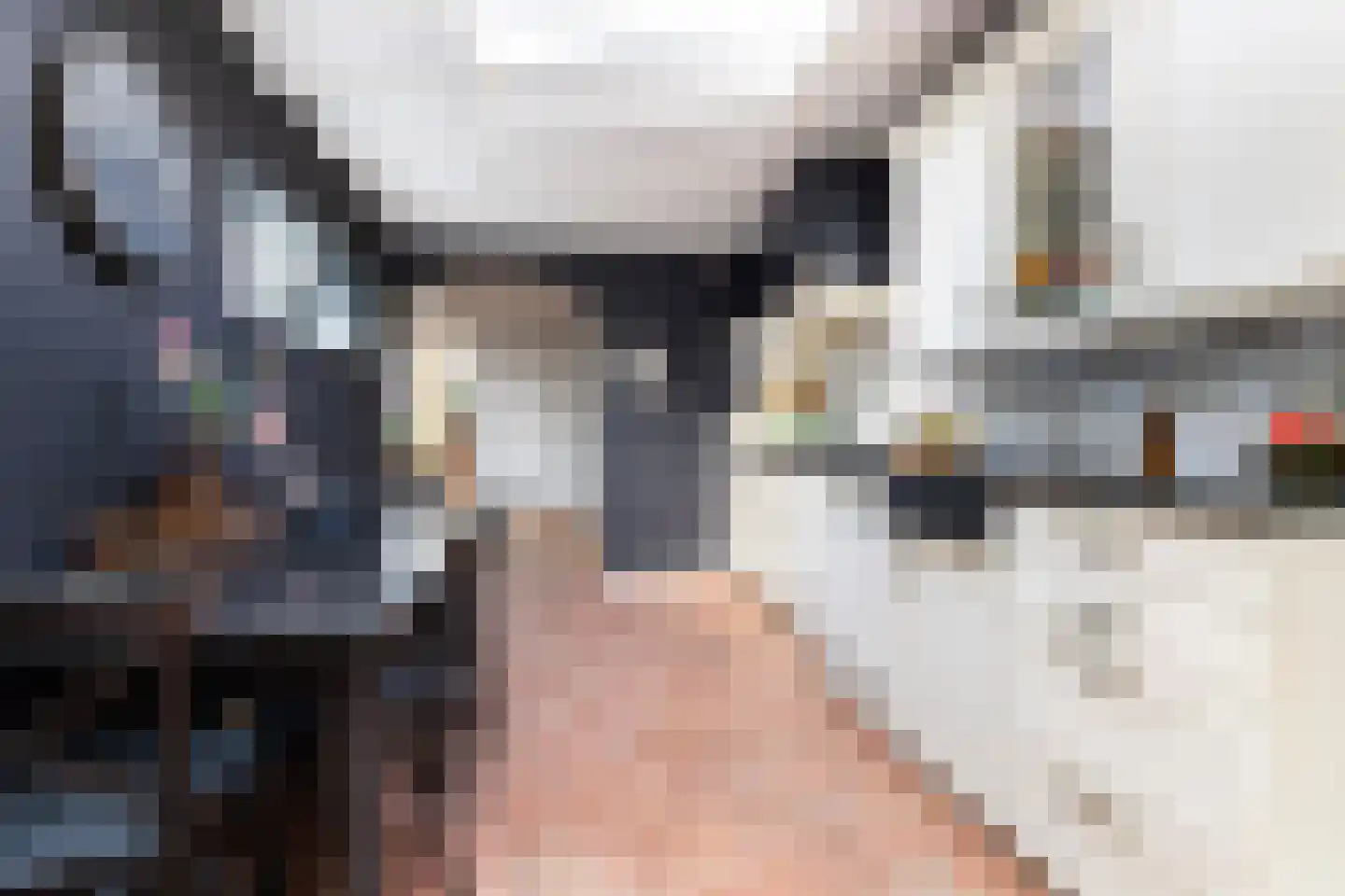 Nieuwendijk 16 Wijhe thumbnail 11